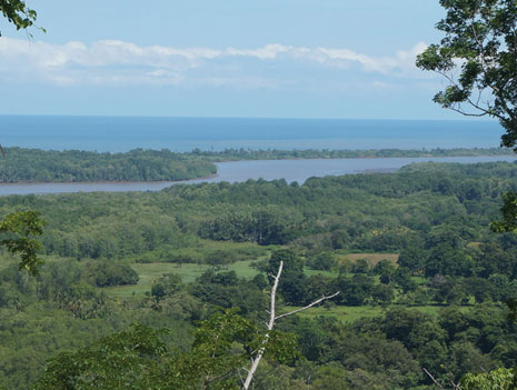 Actual view from property