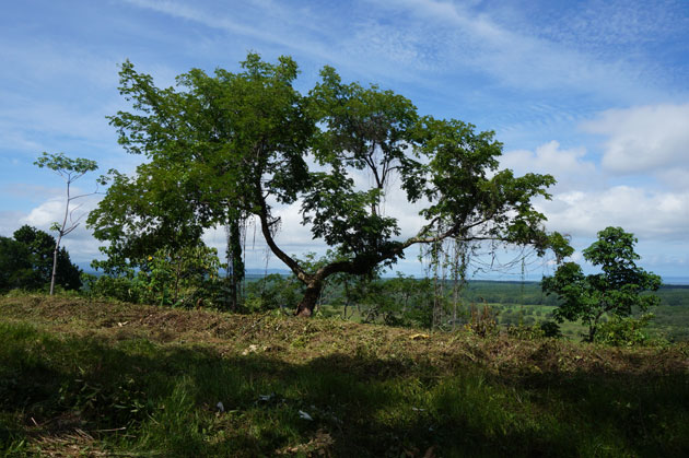 Costa-RIca-Property-SB1-1