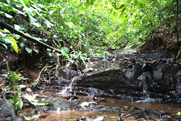 Costa-Rica-Property-waterfall-3a