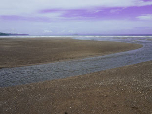 Bathe In The River Or The Beach!